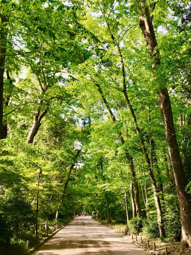 初夏を心地よく過ごす"風が通る家"のつくり方
